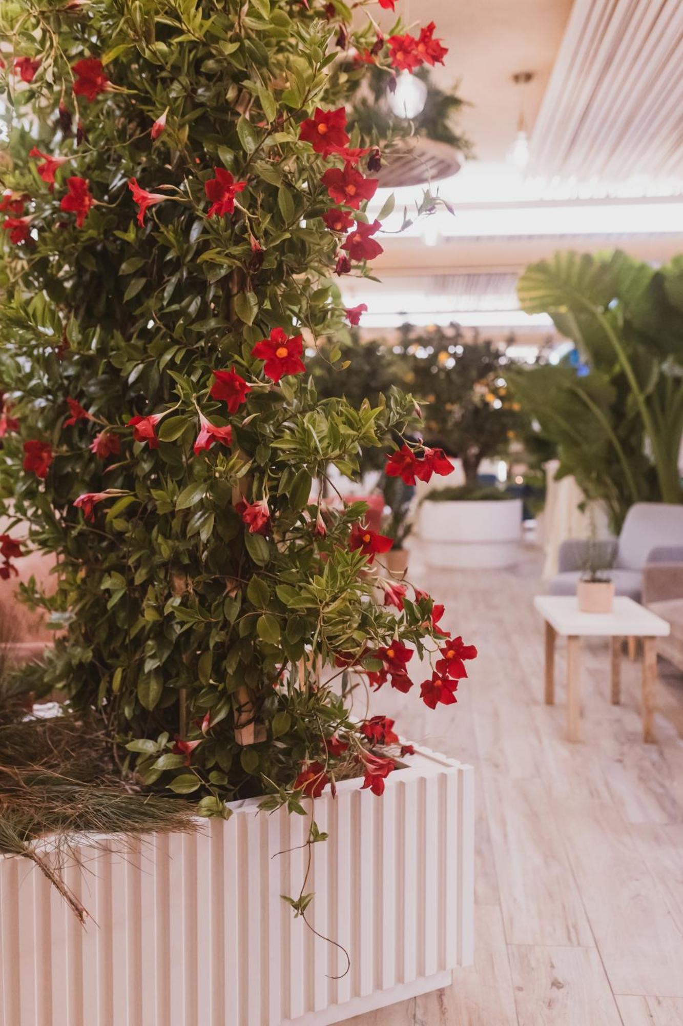 Sentido Michelizia Tropea Resort Εξωτερικό φωτογραφία